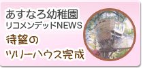 あすなろ幼稚園リコメンデッドニュース「待望のツリーハウスが完成!!」