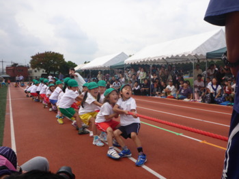 画像7