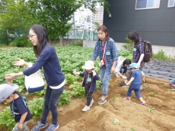 画像8