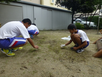 画像4